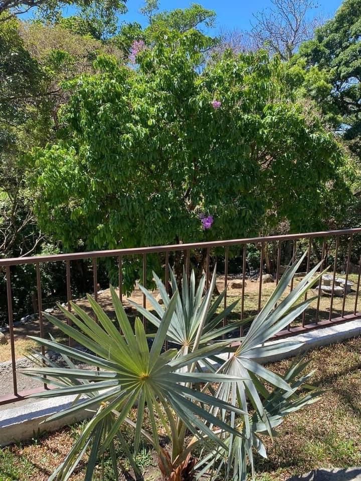 Building Lots for sale in Atenas Costa Rica