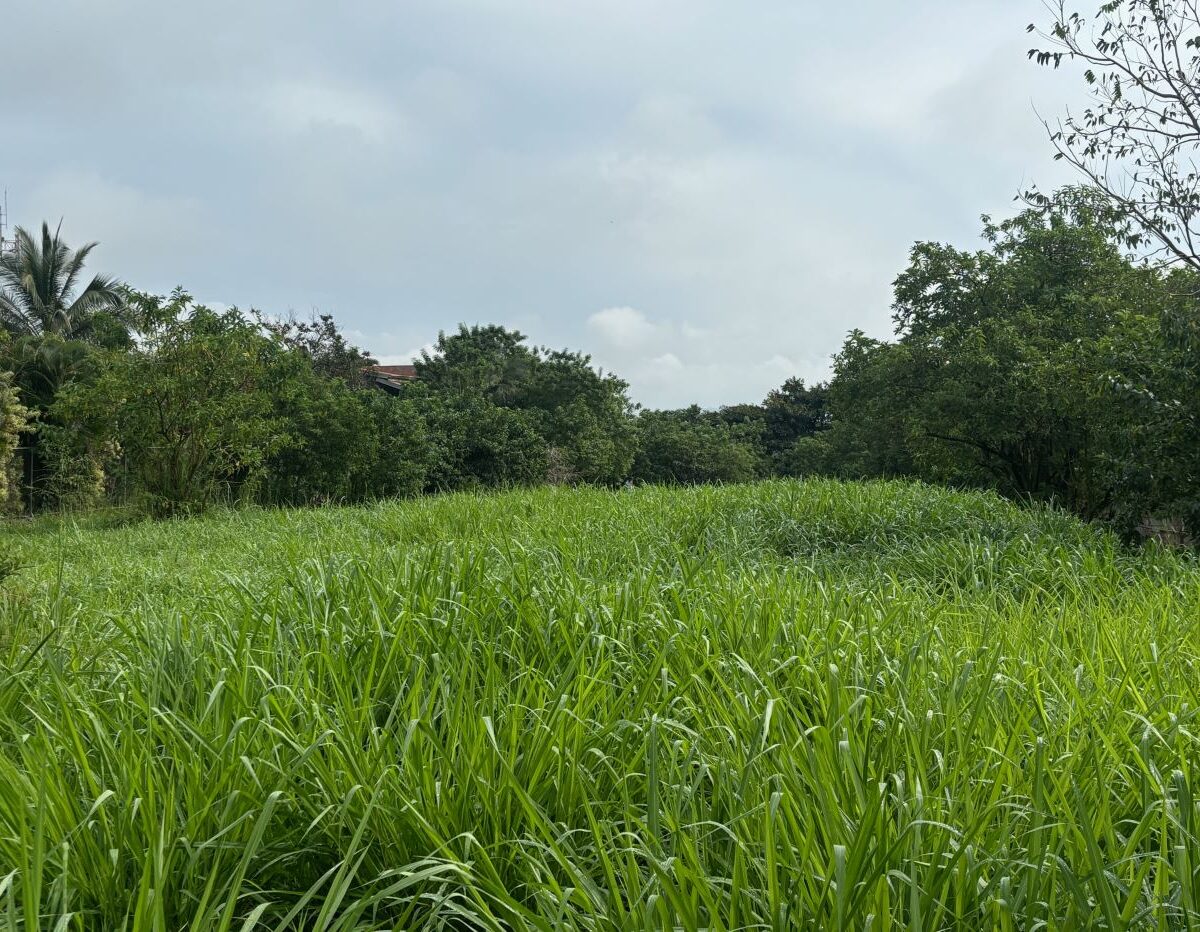 Building Lots for sale in Atenas Costa Rica