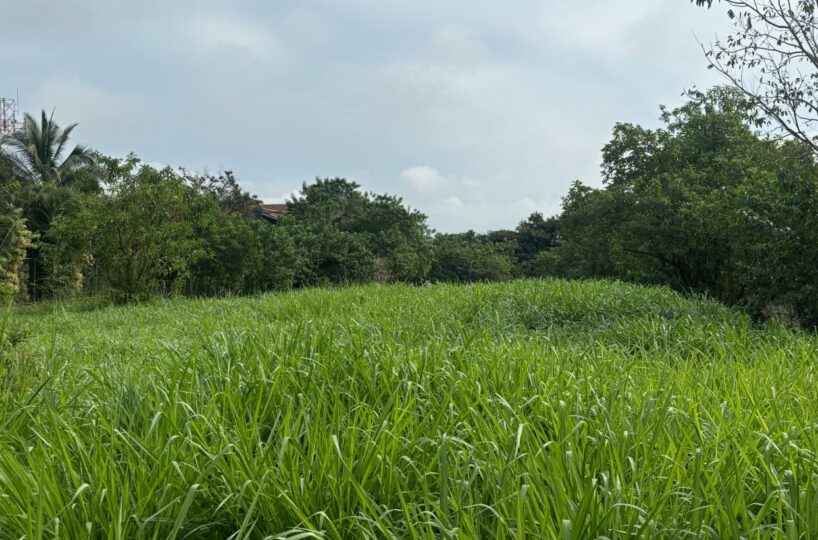 Building Lots for sale in Atenas Costa Rica
