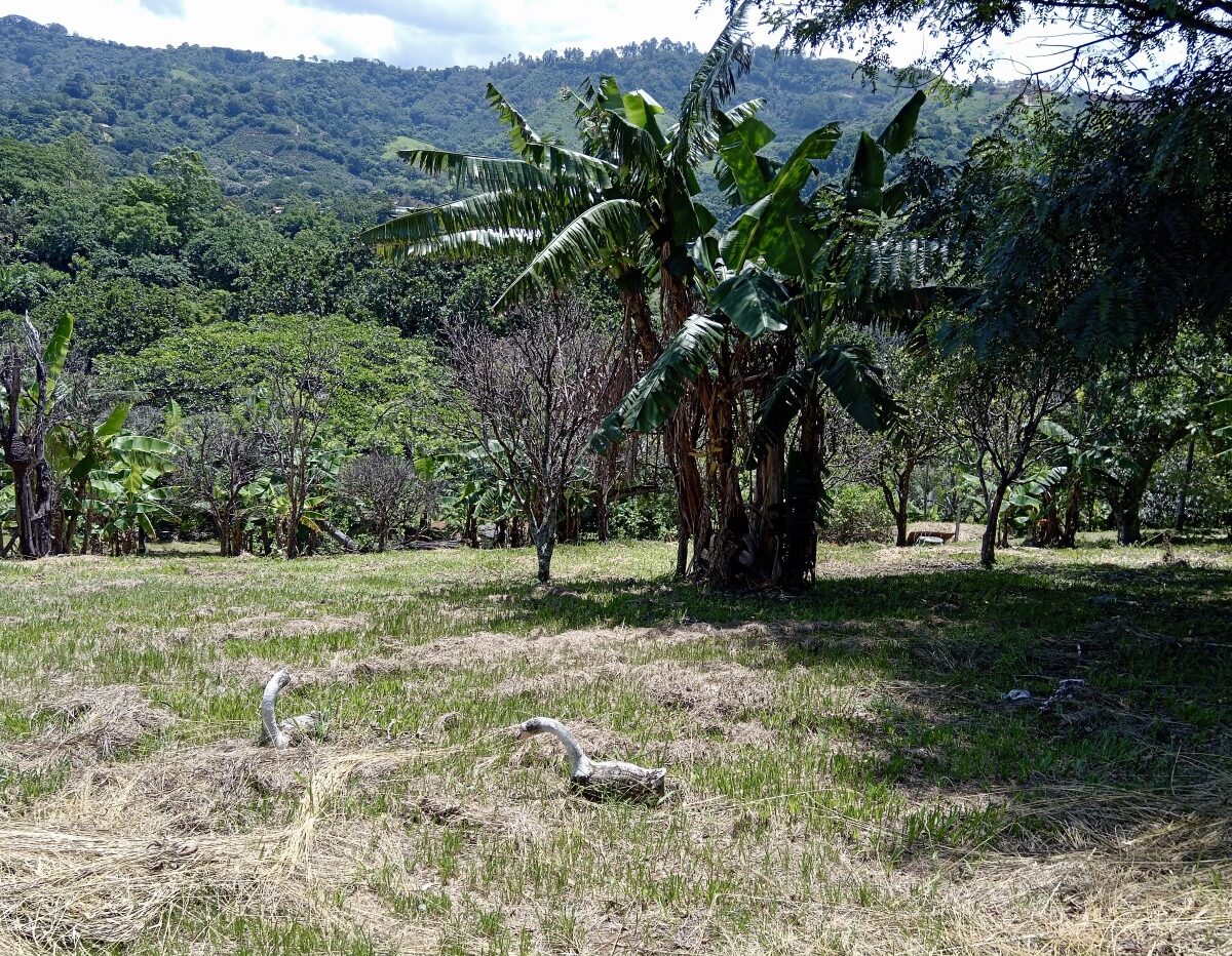 Building Lots for sale in Atenas Costa Rica