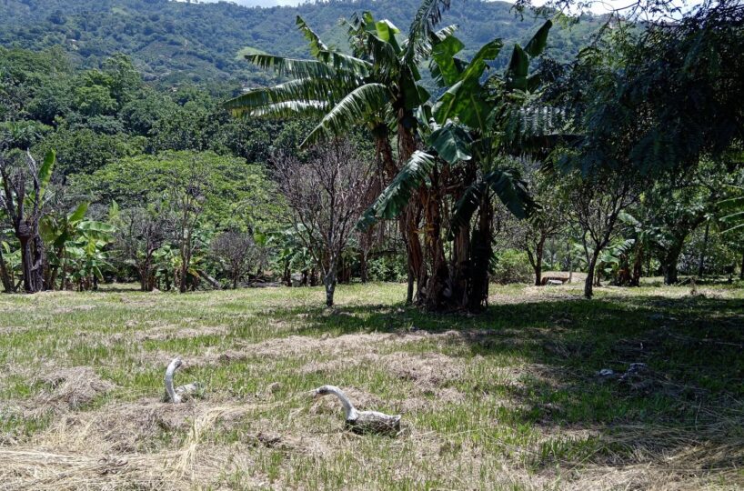 Building Lots for sale in Atenas Costa Rica