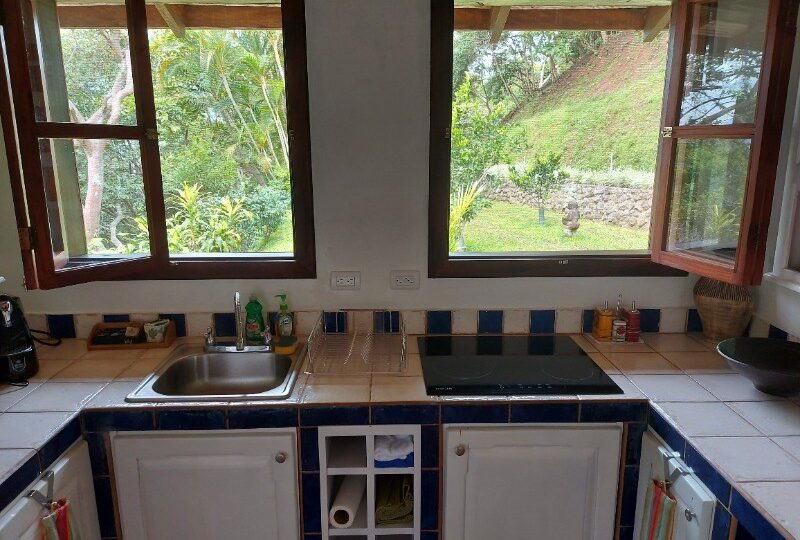 Homes for sale in Atenas Costa Rica