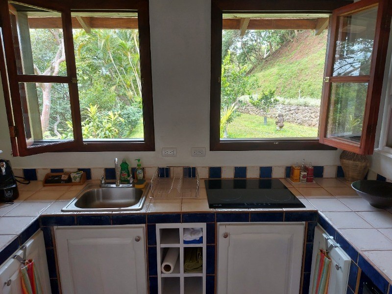 Homes for sale in Atenas Costa Rica