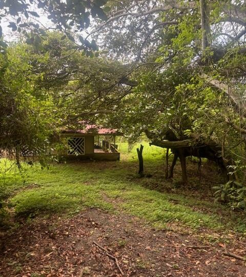 Homes for sale in Atenas Costa Rica