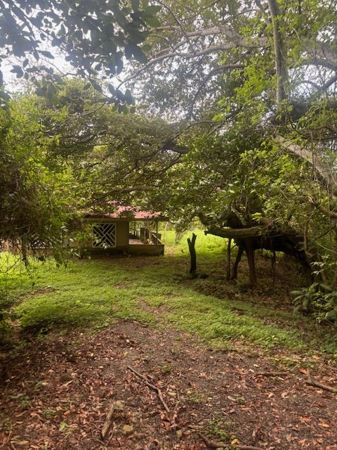 Homes for sale in Atenas Costa Rica