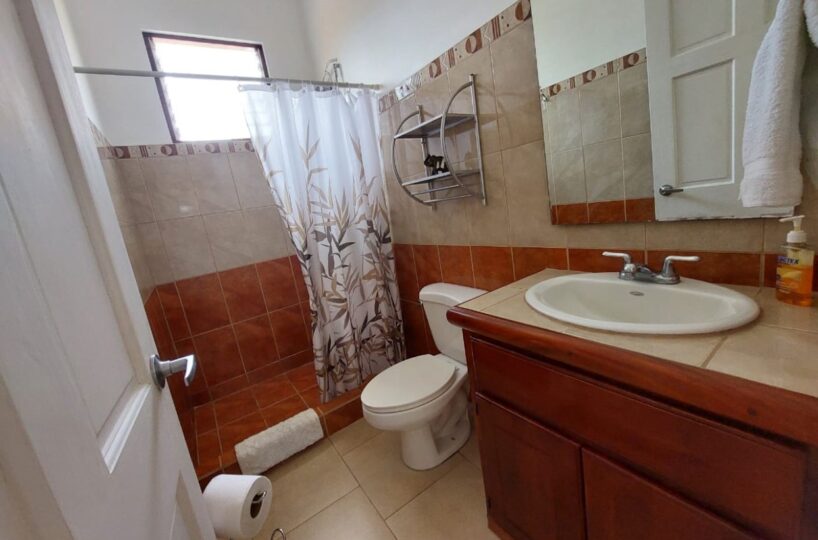 Homes for sale in Atenas Costa Rica