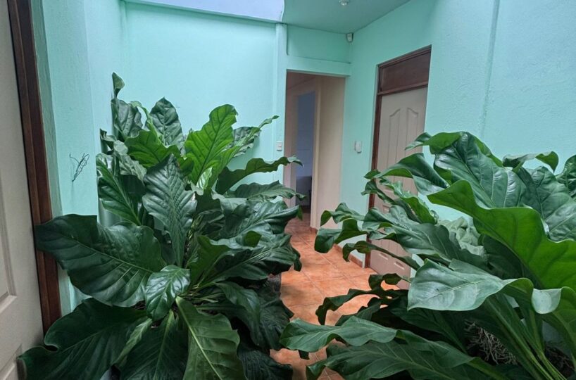 Homes for sale in Atenas Costa Rica