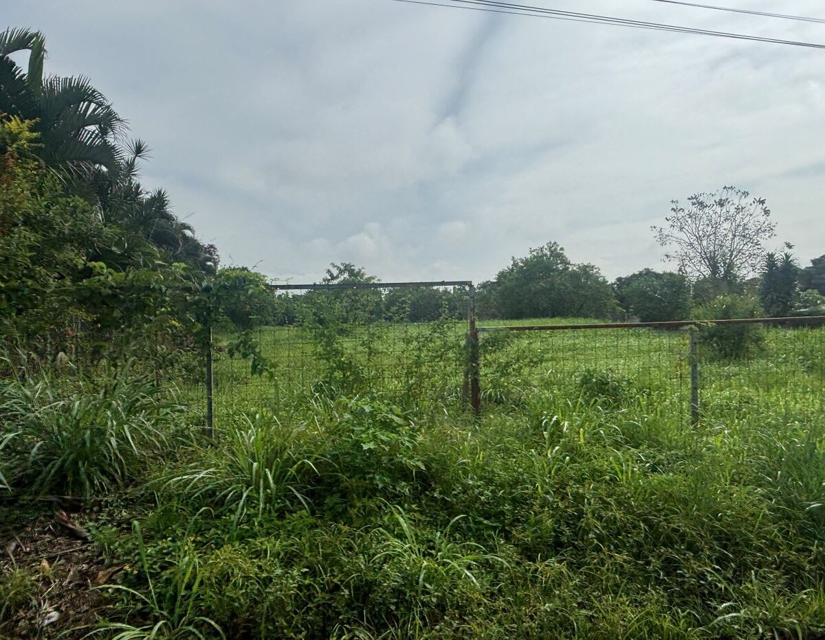 Building Lots for sale in Atenas Costa Rica