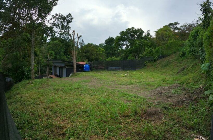 Homes for sale in Atenas Costa Rica