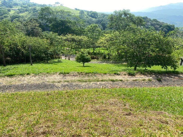 Building Lots for sale in Atenas Costa Rica