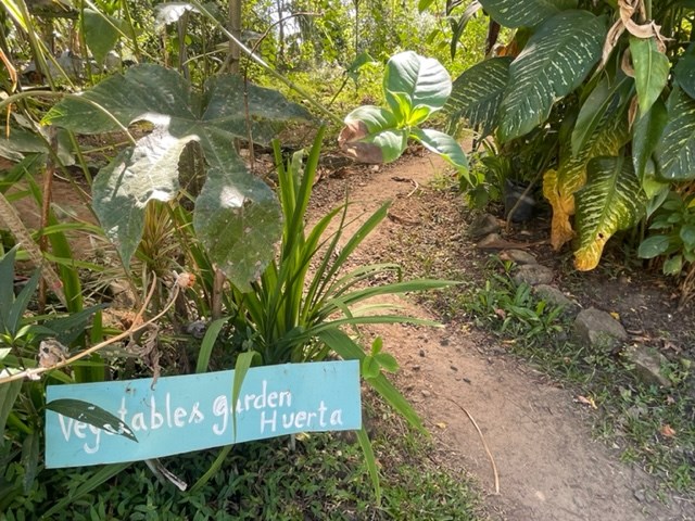 Homes for sale in Atenas Costa Rica