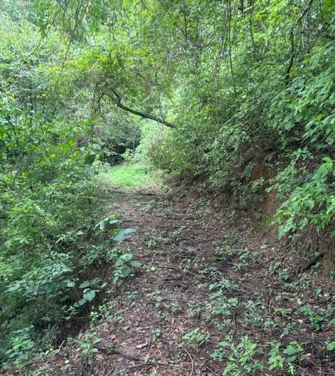 Homes for sale in Atenas Costa Rica