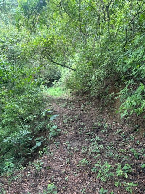 Homes for sale in Atenas Costa Rica