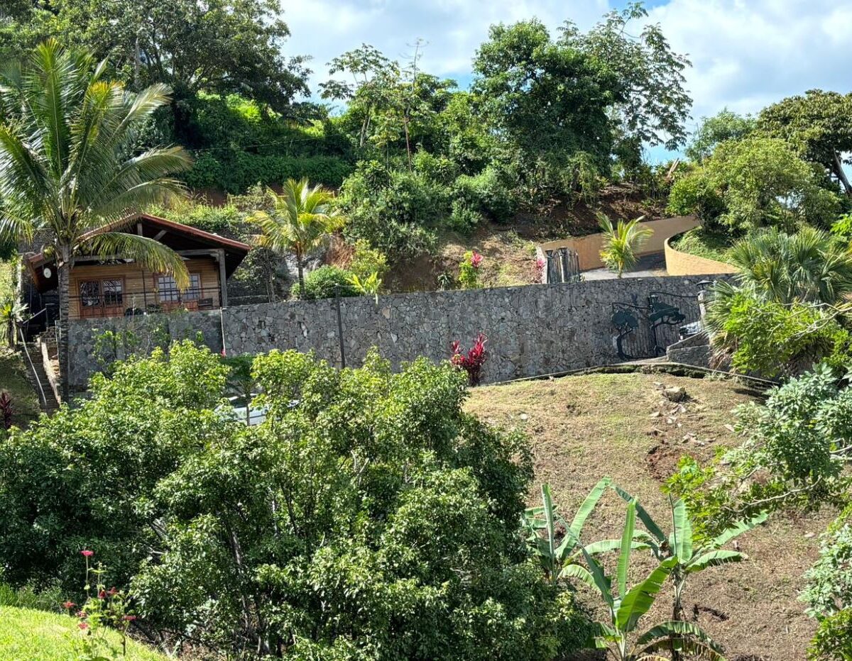 Homes for sale in Atenas Costa Rica