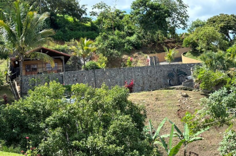 Homes for sale in Atenas Costa Rica