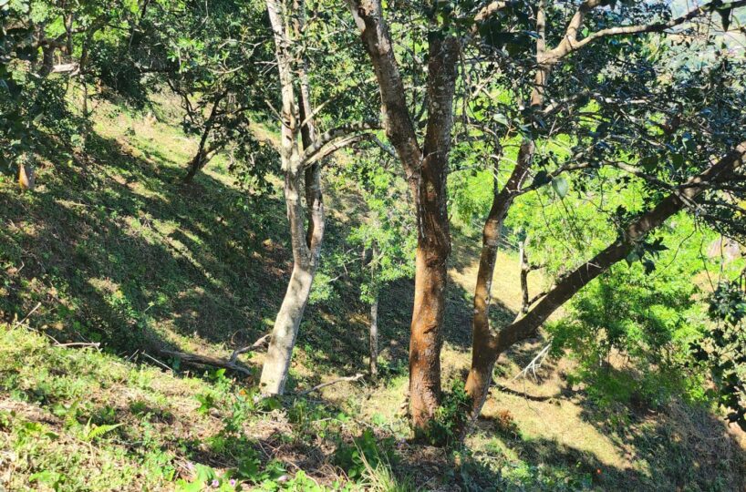 Homes for sale in Atenas Costa Rica