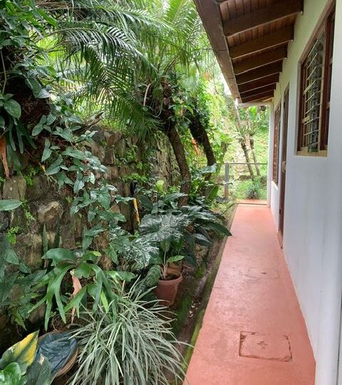 Homes for sale in Atenas Costa Rica