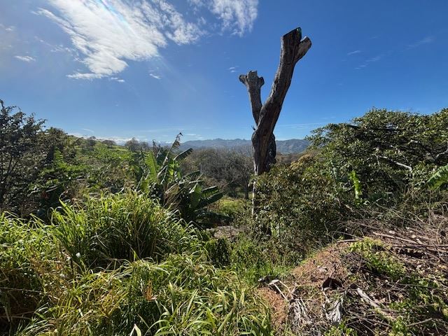 Building Lots for sale in Atenas Costa Rica
