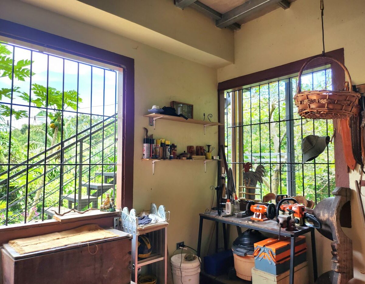 Homes for sale in Atenas Costa Rica