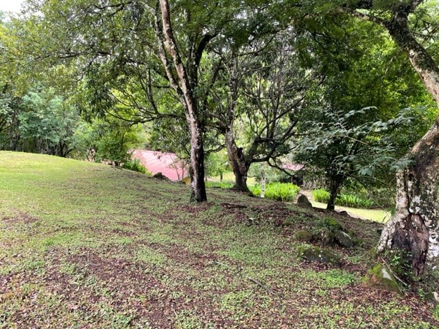 Homes for sale in Atenas Costa Rica