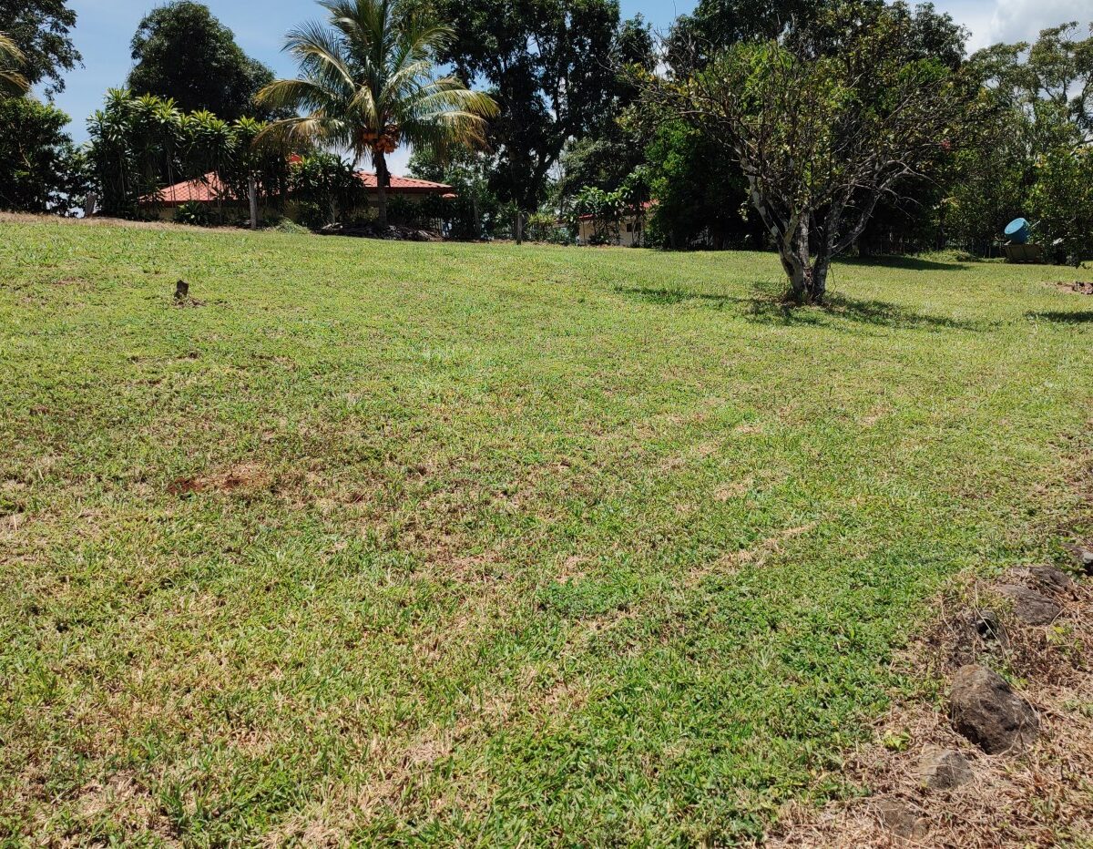 Homes for sale in Atenas Costa Rica