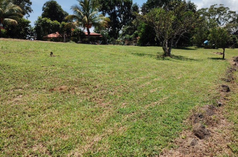 Homes for sale in Atenas Costa Rica