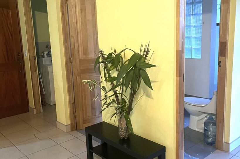 Homes for sale in Atenas Costa Rica