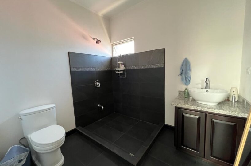 Homes for sale in Atenas Costa Rica