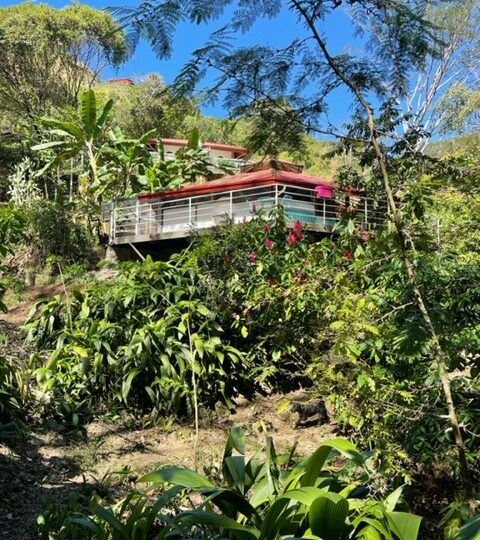 Homes for sale in Atenas Costa Rica