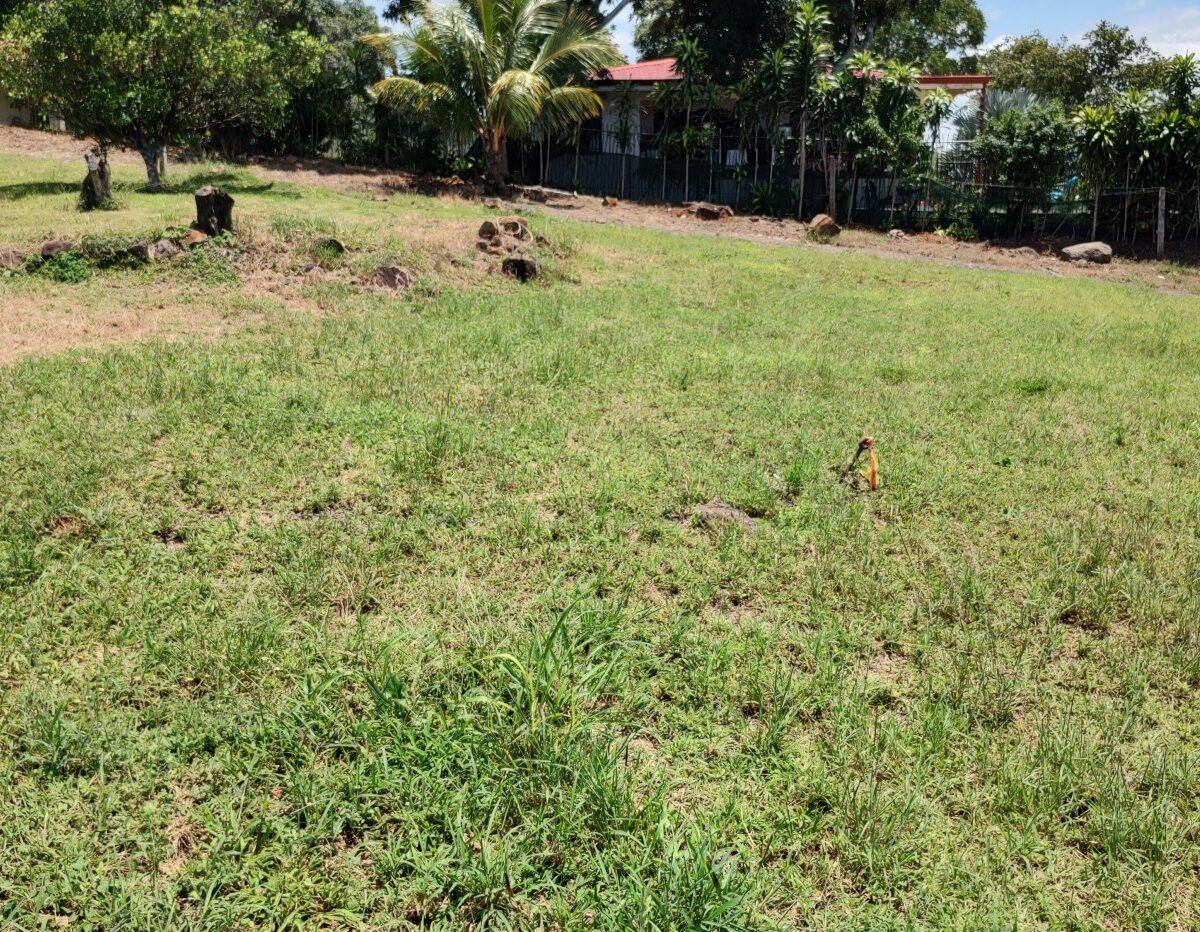 Homes for sale in Atenas Costa Rica