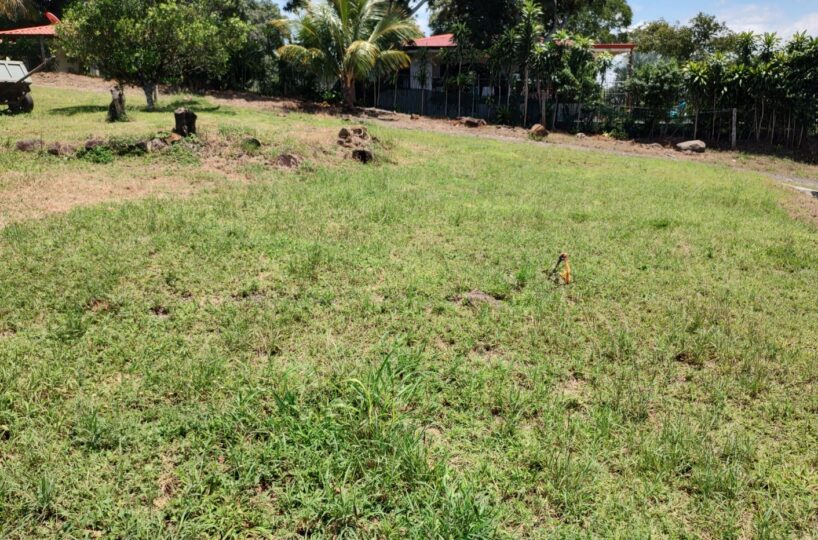 Homes for sale in Atenas Costa Rica