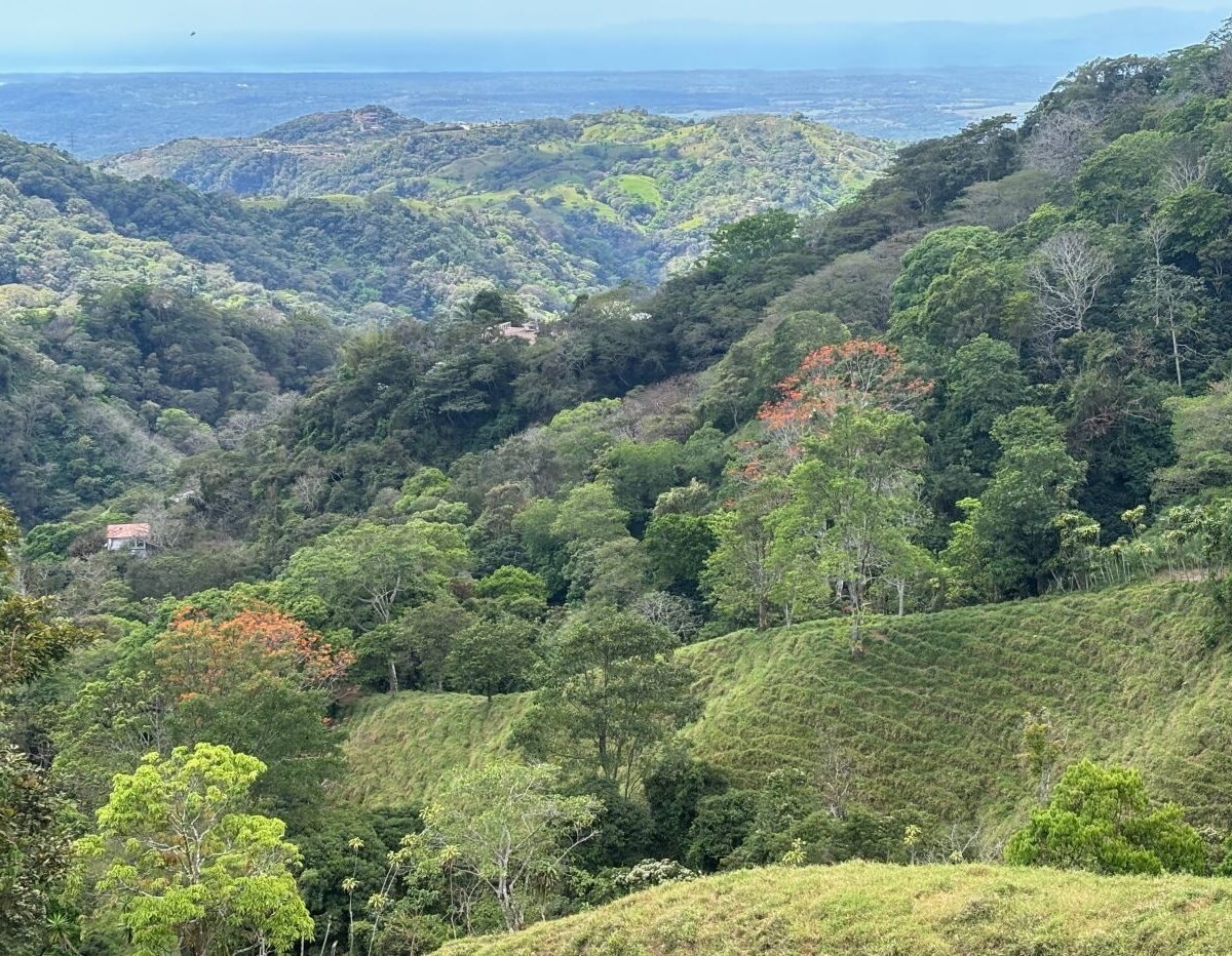 Homes for sale in Atenas Costa Rica