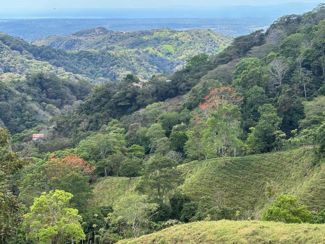 Homes for sale in Atenas Costa Rica