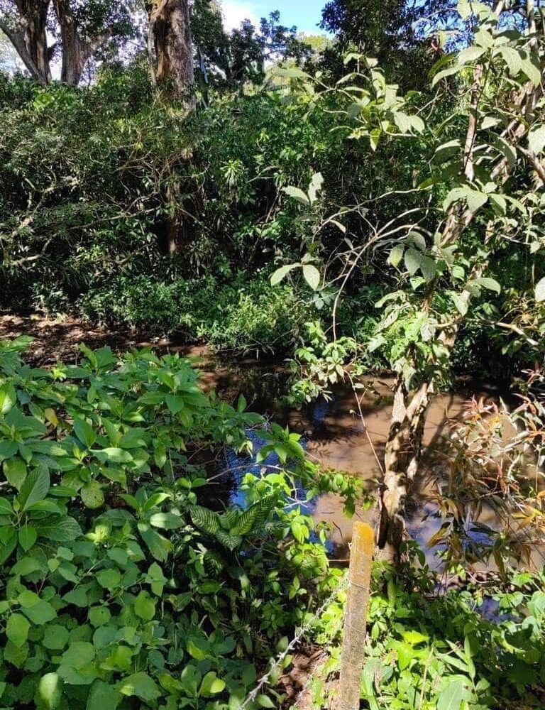 Homes for sale in Atenas Costa Rica