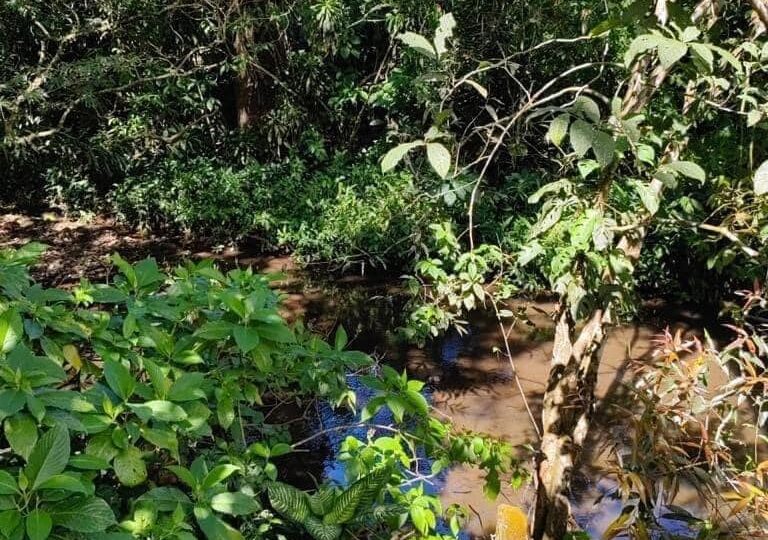 Homes for sale in Atenas Costa Rica