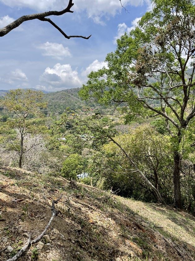 Building Lots for sale in Atenas Costa Rica