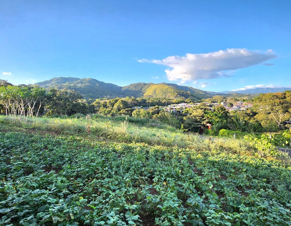 Building Lots for sale in Atenas Costa Rica