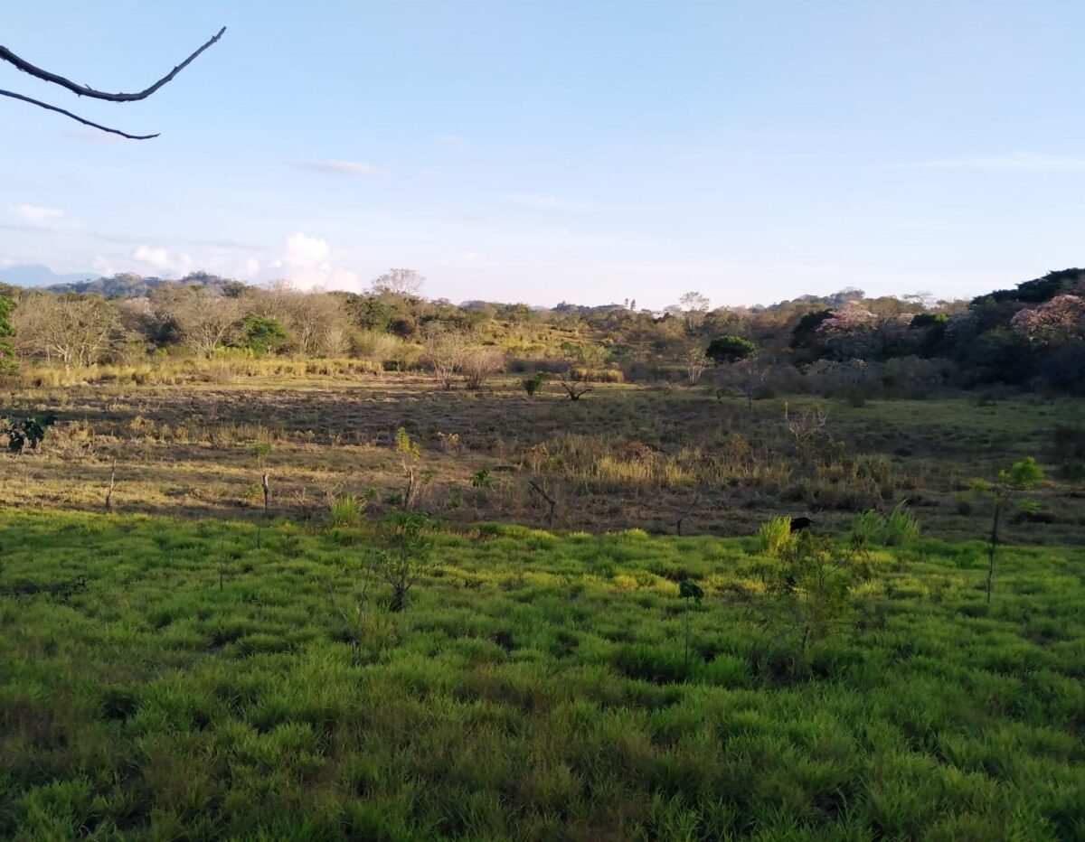 Building Lots for sale in Atenas Costa Rica