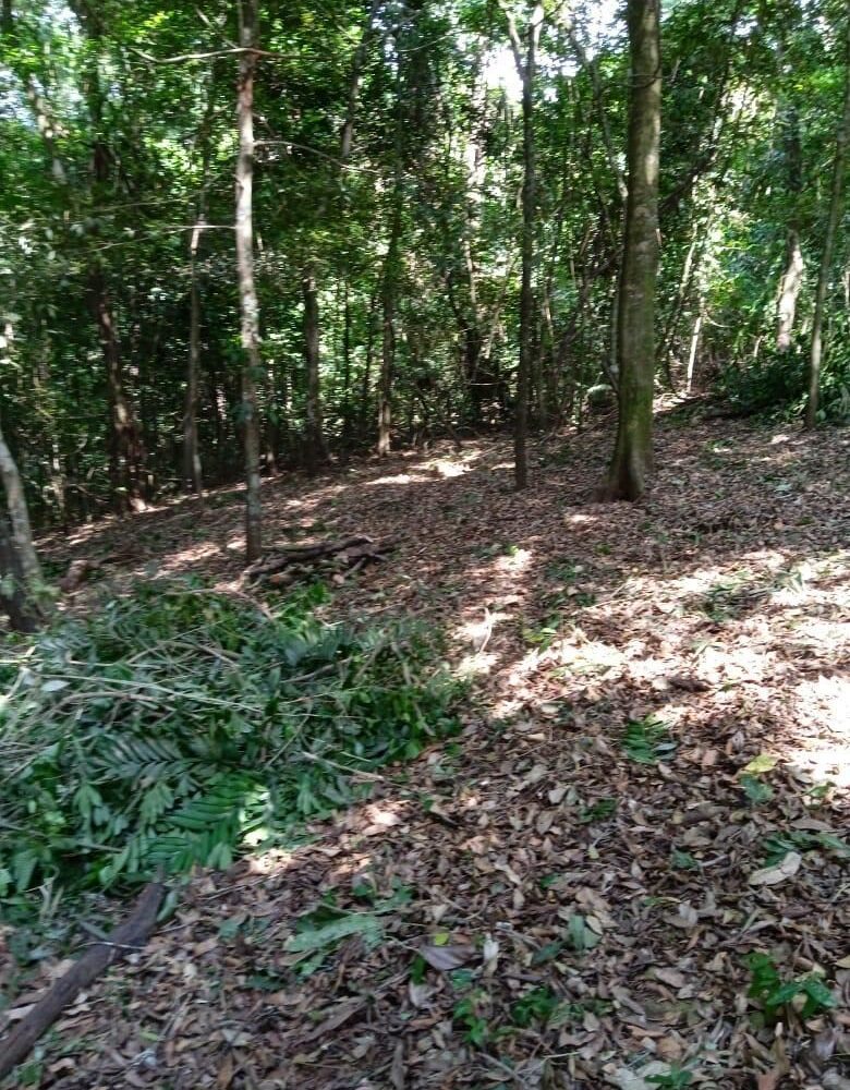 Building Lots for sale in Atenas Costa Rica