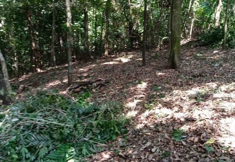 Building Lots for sale in Atenas Costa Rica
