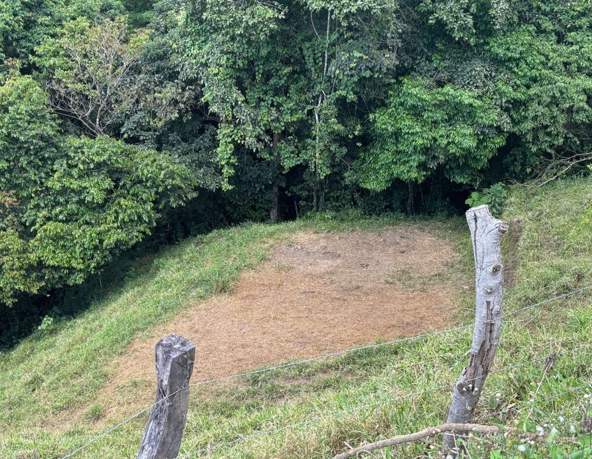 Homes for sale in Atenas Costa Rica