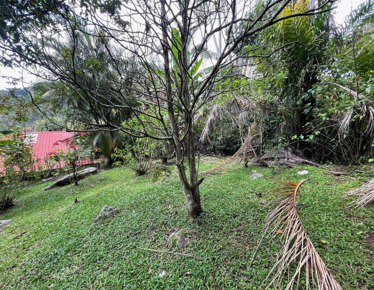 Homes for sale in Atenas Costa Rica