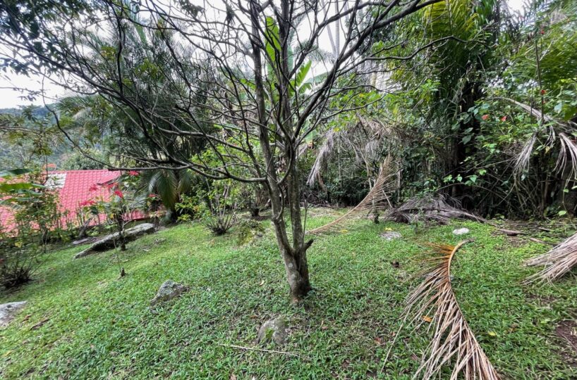 Homes for sale in Atenas Costa Rica