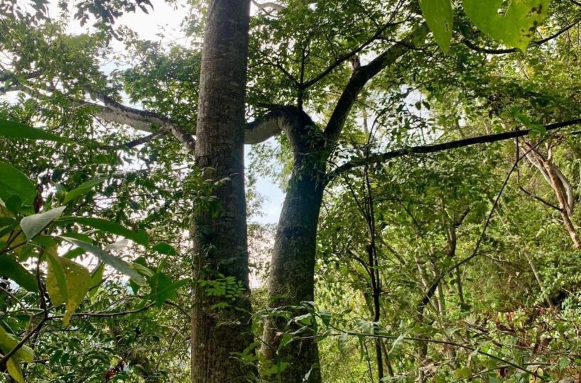 Building Lots for sale in Atenas Costa Rica