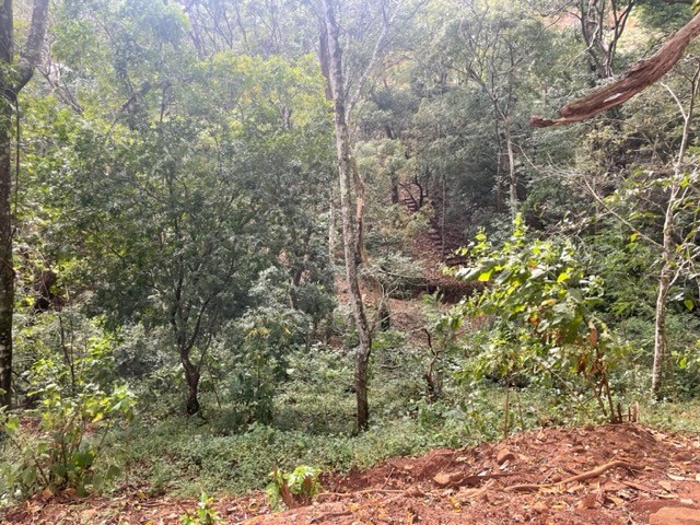 Building Lots for sale in Atenas Costa Rica