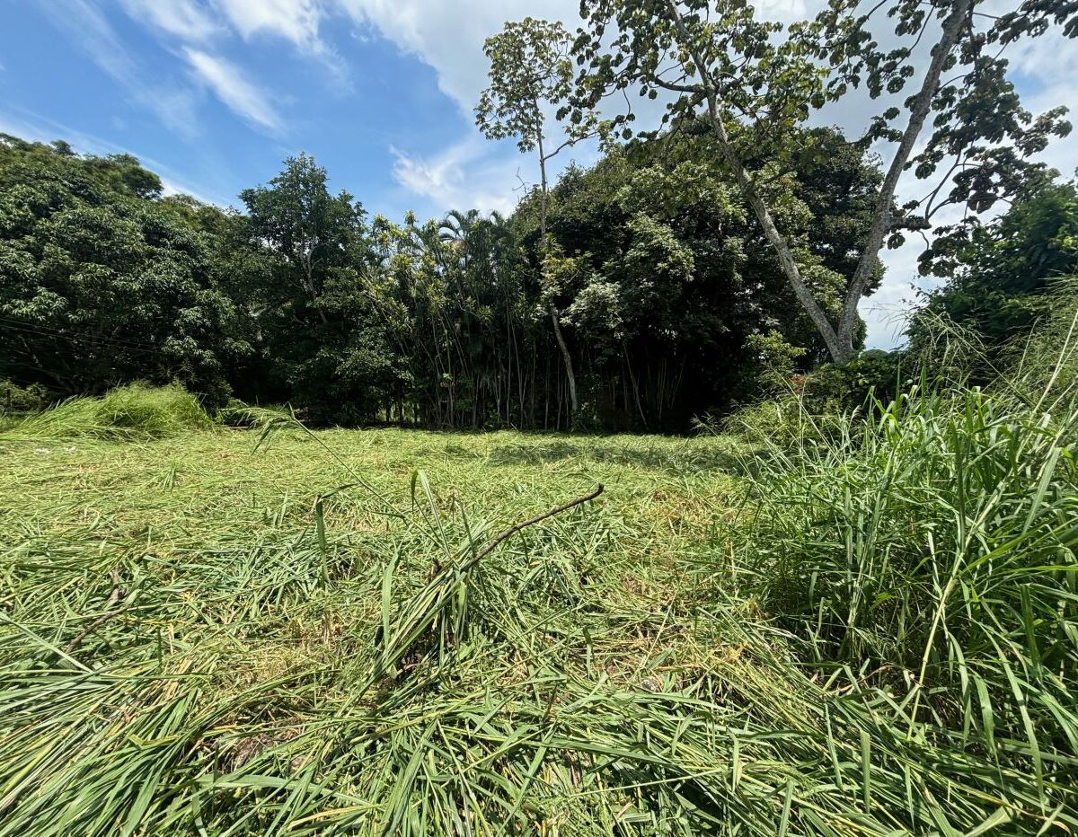 Building Lots for sale in Atenas Costa Rica