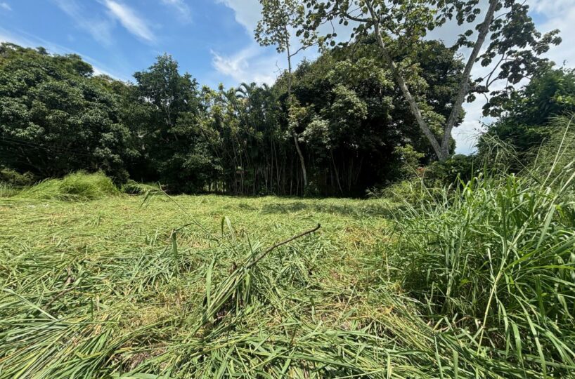 Building Lots for sale in Atenas Costa Rica