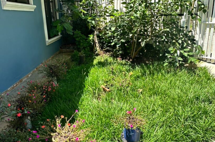 Homes for sale in Atenas Costa Rica