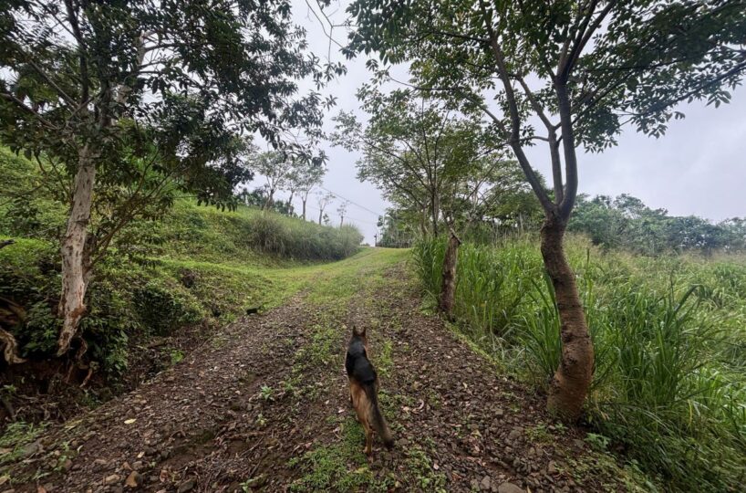 Building Lots for sale in Atenas Costa Rica