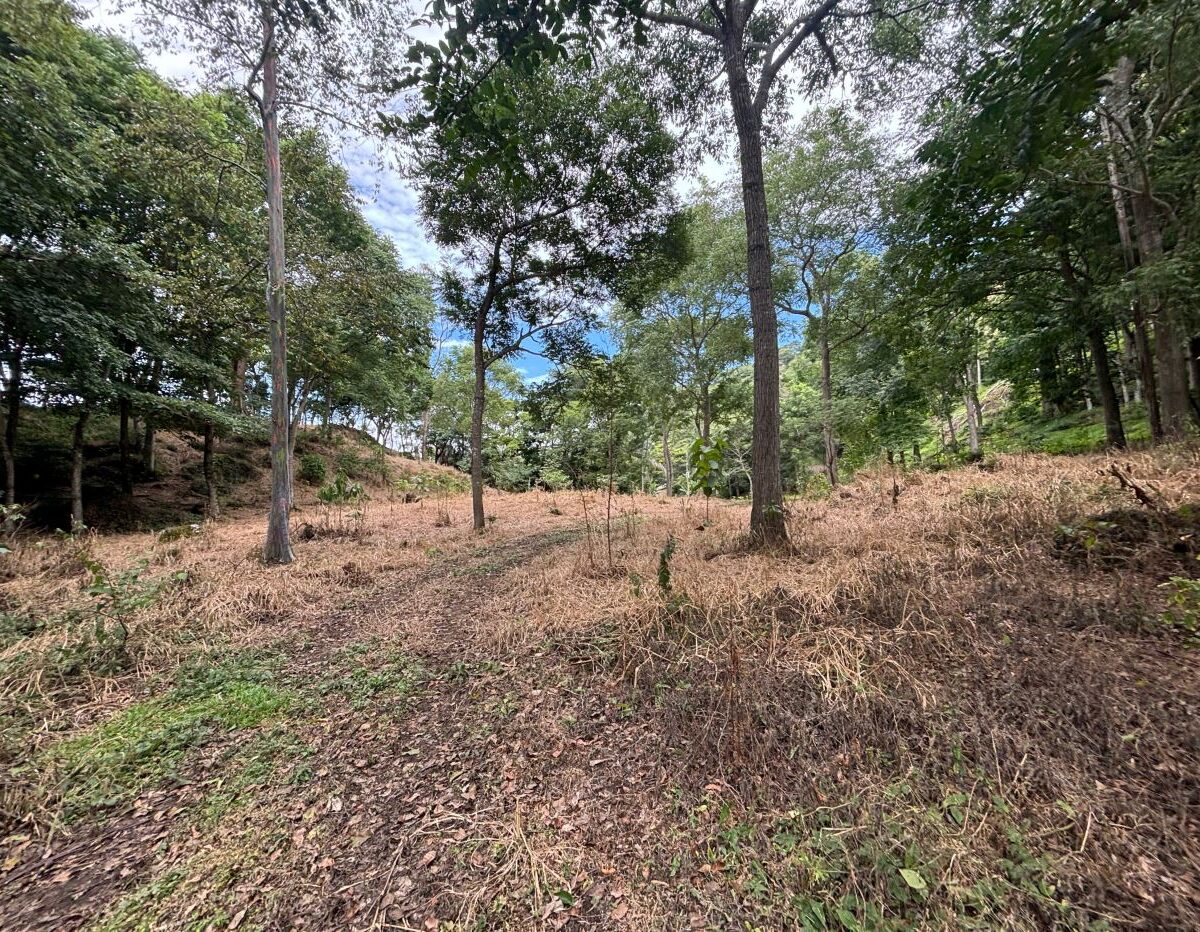 Building Lots for sale in Atenas Costa Rica